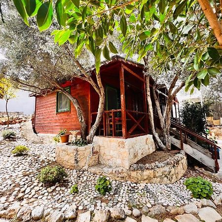 Bed and Breakfast Ata Bungalow Kaş Exterior foto